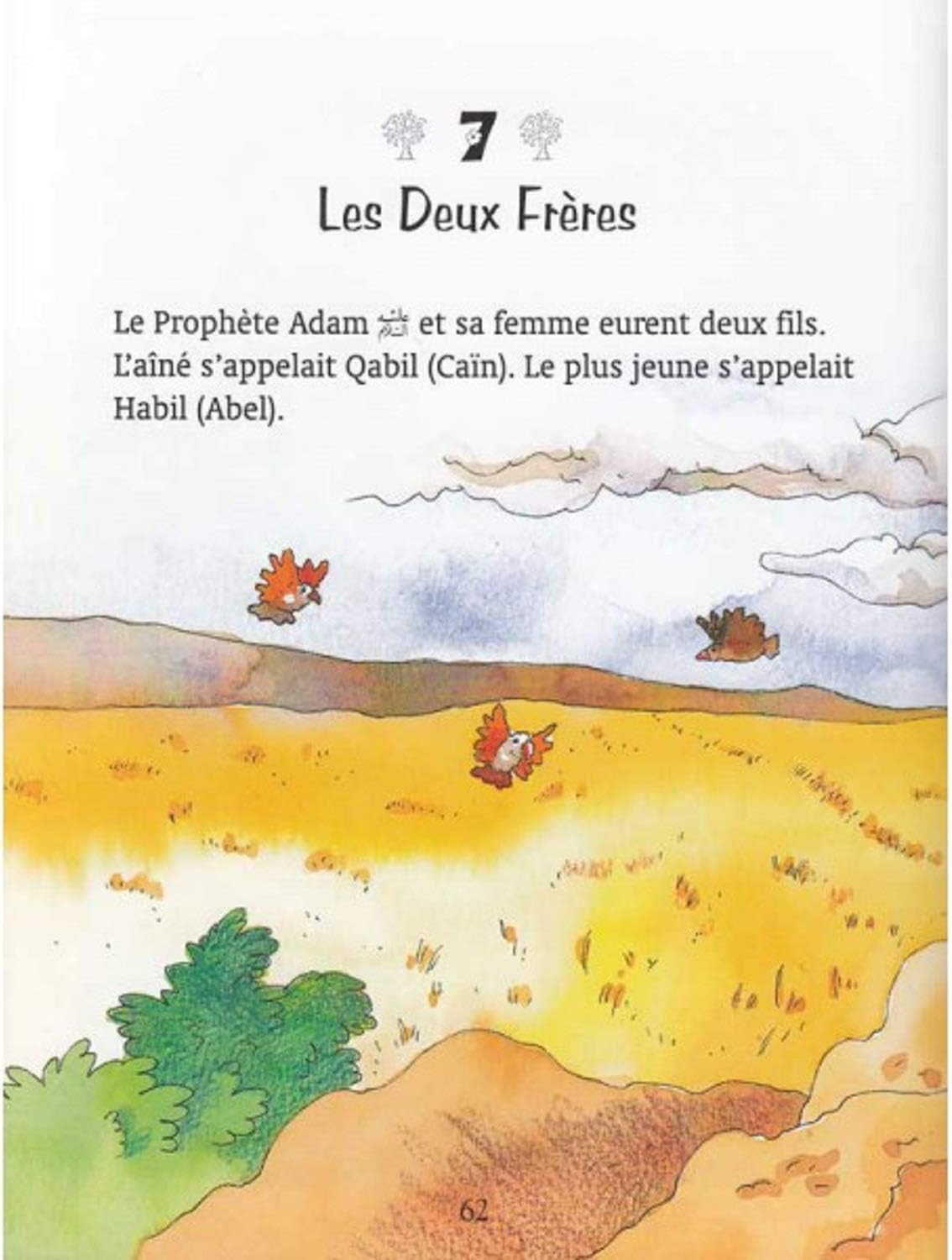 Mon premier Coran - Livre d'histoires